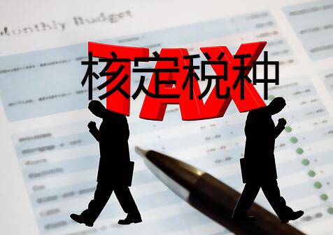 核定税种