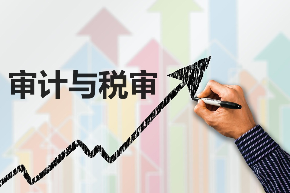 税审报告和审计报告是什么？对企业有什么好处？两者有什么区别
