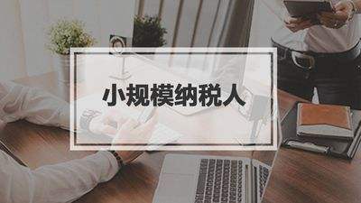 小规模纳税人有销无进，未提供任何进项将要严查！