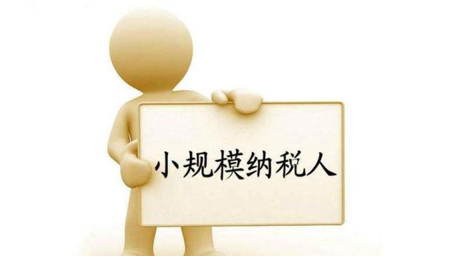 小规模纳税人有销无进，未提供任何进项，将严查！