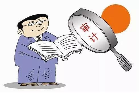深圳公司的做账审计