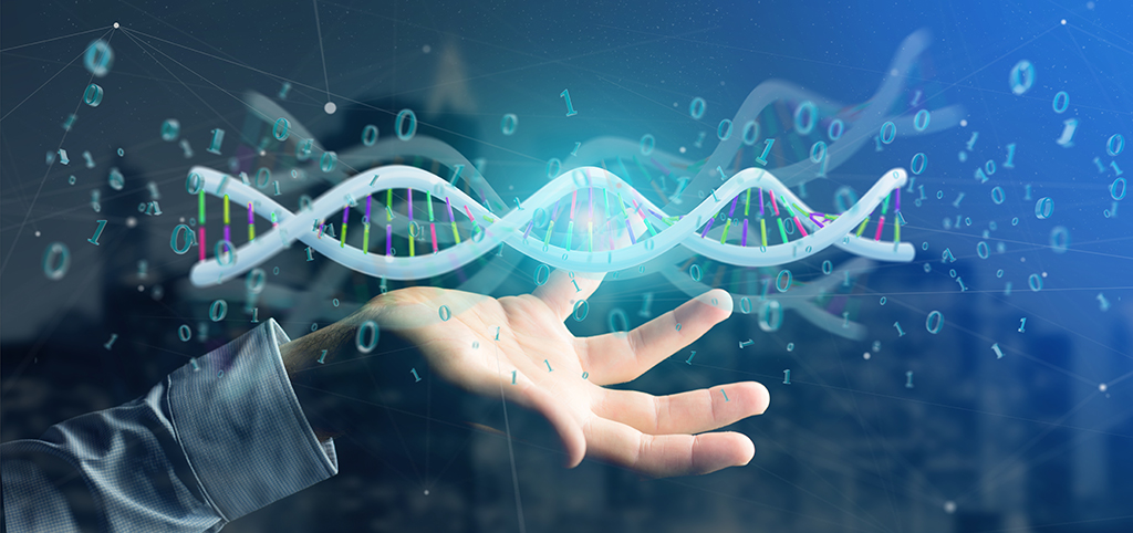 香港离岸公司审计费用的重要性，如何降低费用