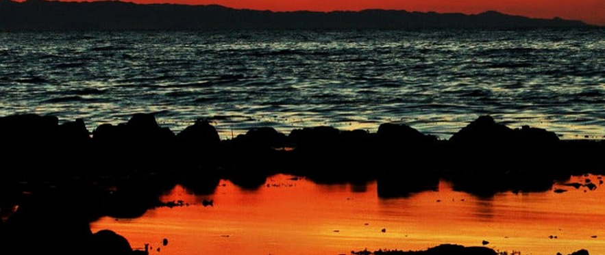 2025马绍尔公司注册全指南，流程、优惠与实用价值（小白一看就懂）