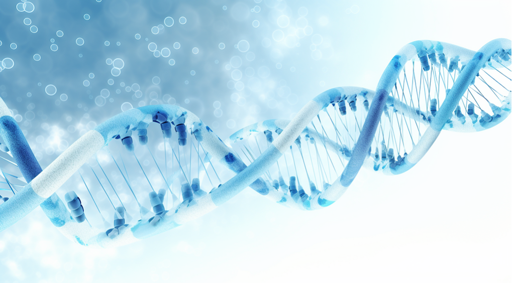 中国人怎样在泰国注册公司，怎样在泰国注册公司