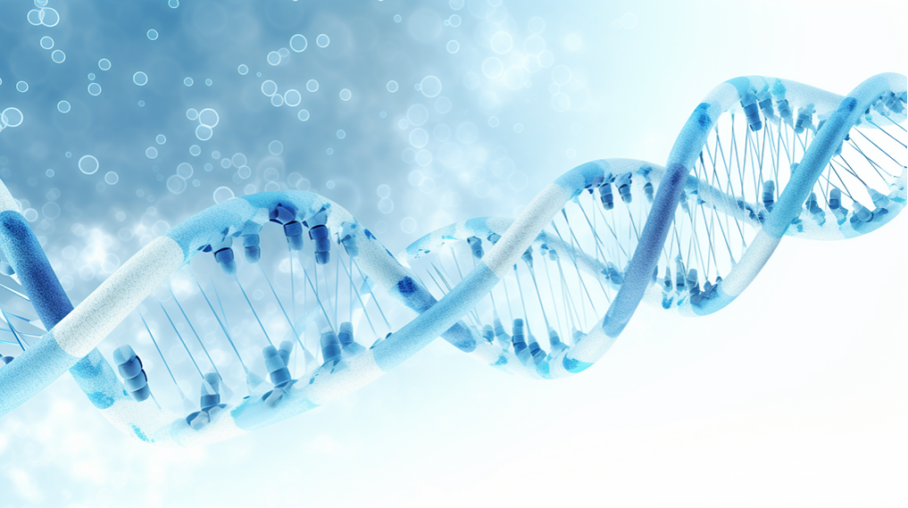 香港BVI公司年审指南：确保合规与顺利运营的关键步骤