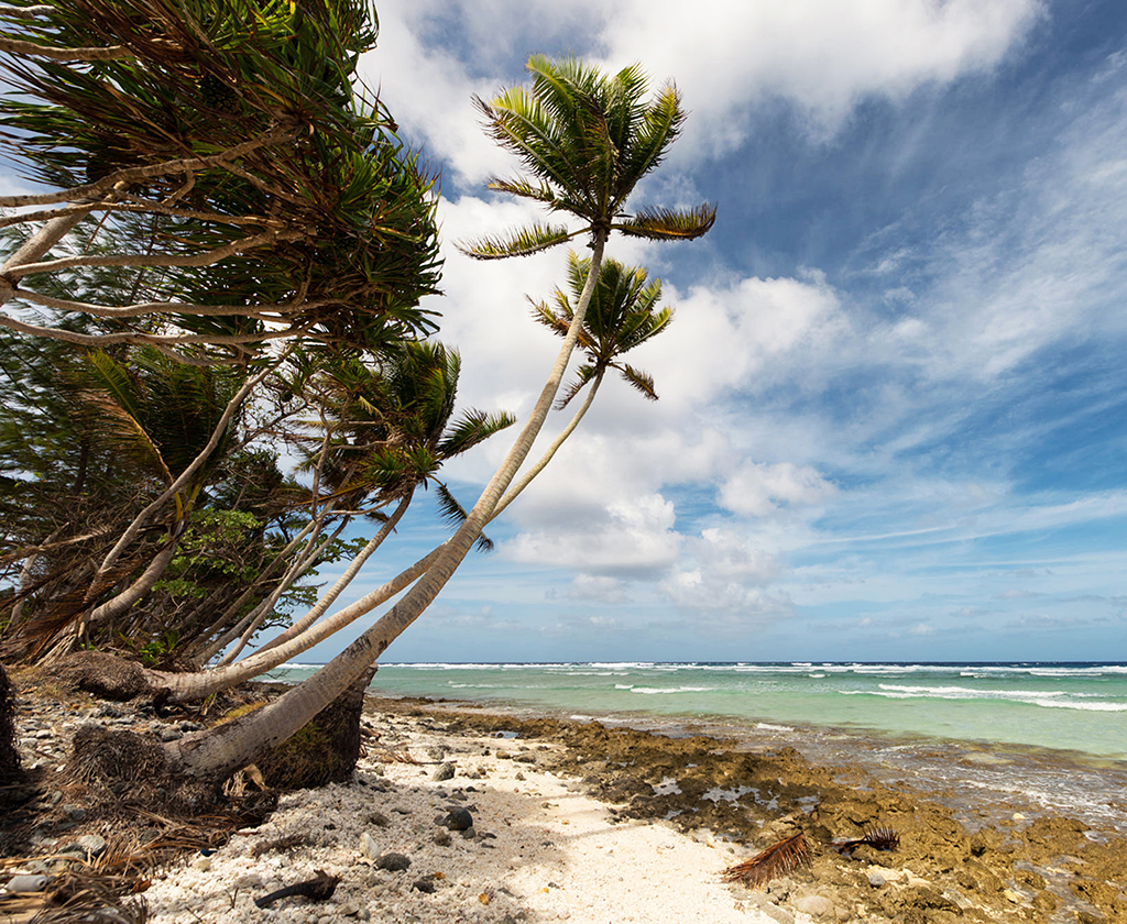 马绍尔公司注册费用解析及其优势详解 马绍尔公司注册费用解析及其优势详解